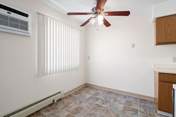 Ceiling fan